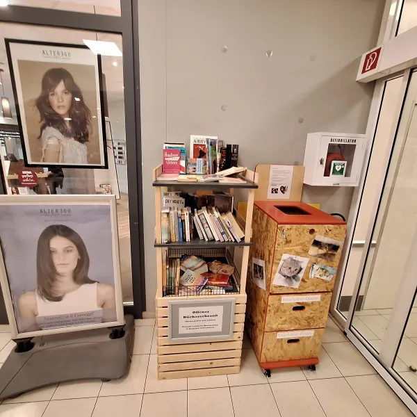 Bücherschrank aus zwei Regalbrettern mit zwei Etagen Büchern