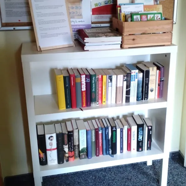kleines Bücherregal, zwei Etagen, befüllt