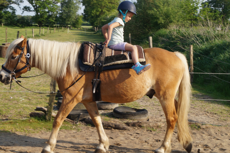 Kind mit Reithelm sitzt auf einem braunen Pony auf dem Hofgelände.