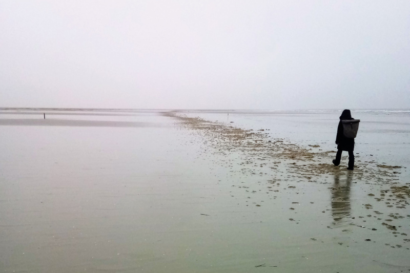 Unterwegs im Wattenmeer