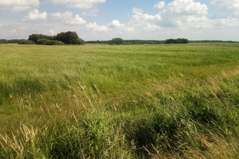Die Weiten von Wiesmoor