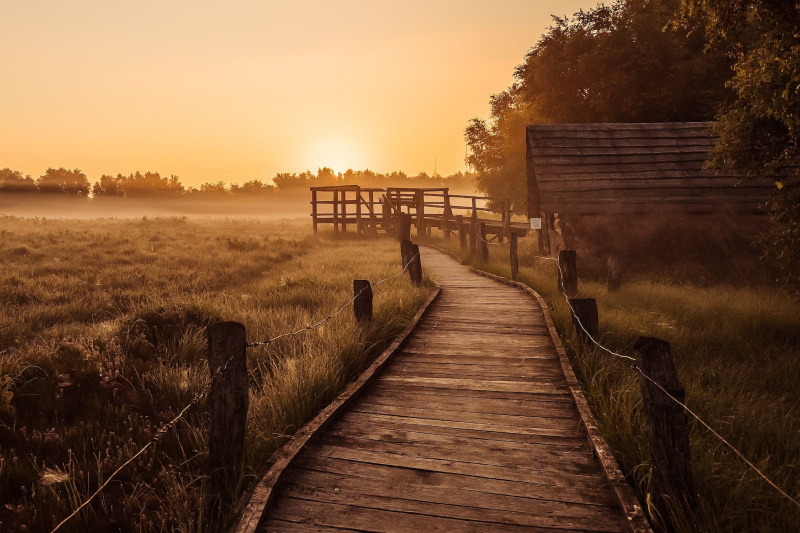 Aufnahme eines Holzbohlenweges, der ins Moor führt, bei Sonnenaufgang.
