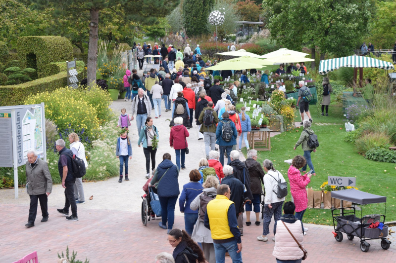 Besucher strömen in den Park