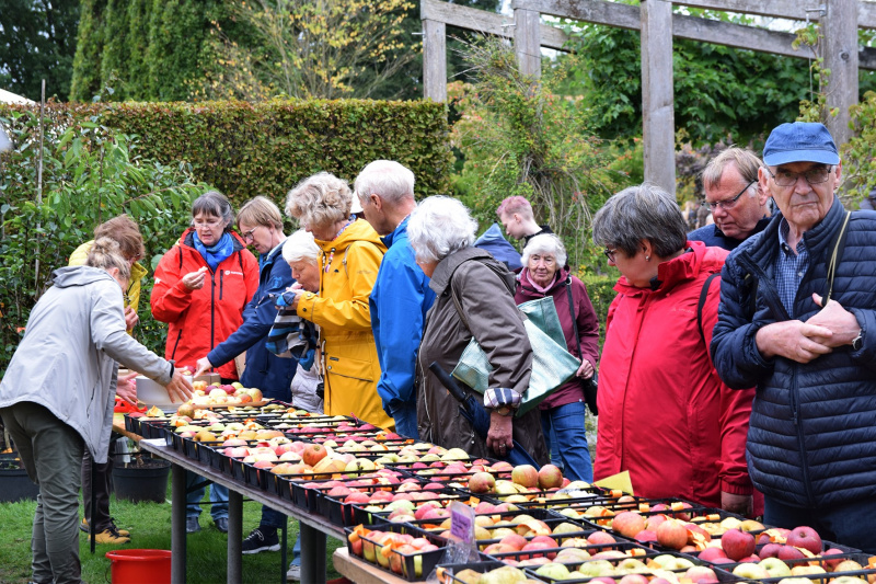 Marktbesucher vor Apfelstand