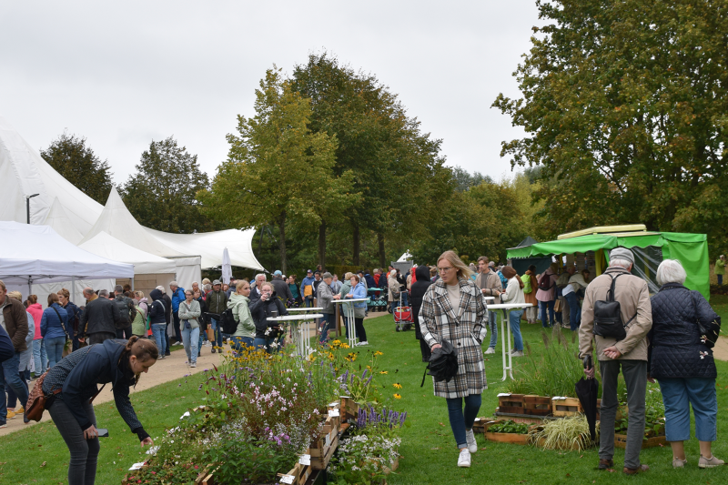 Marktbesucher betrachten Pflanzenauswahl
