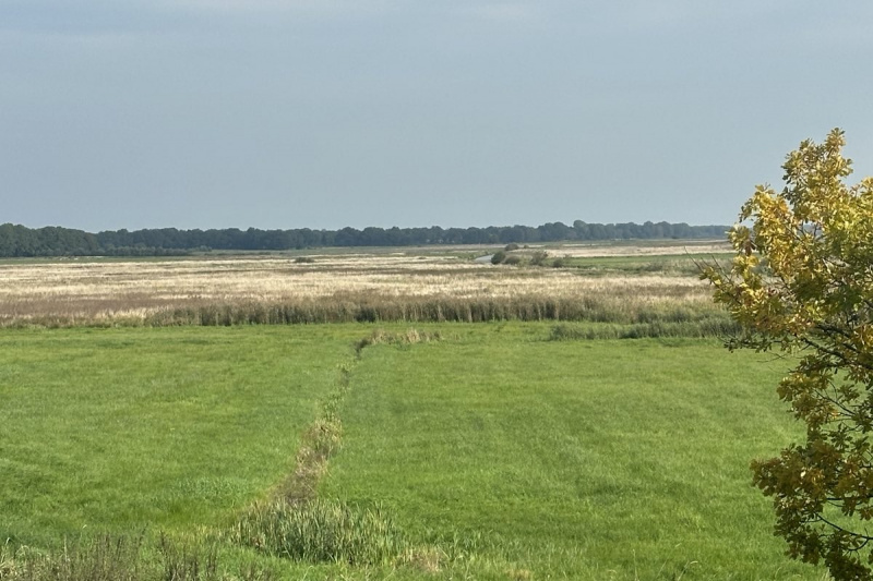 Fehnmuseum Eiland 