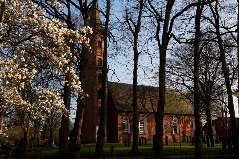 Die Ev. - ref. Kirche von Loga im Frühling