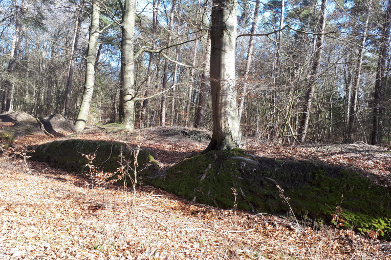 Wald
