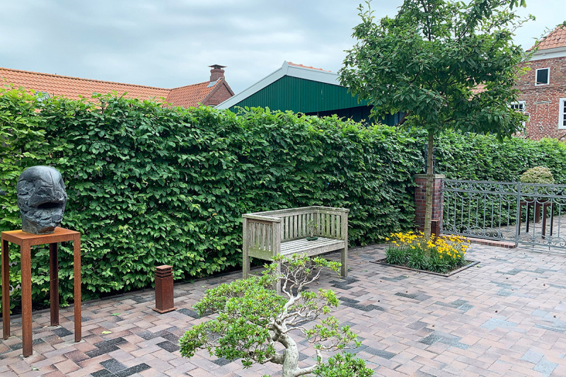 Der neue Garten.