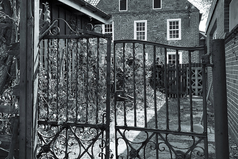 Der Garten.
