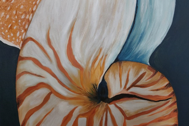 Nautilus