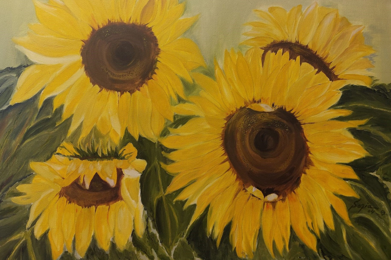 Sonnenblumen