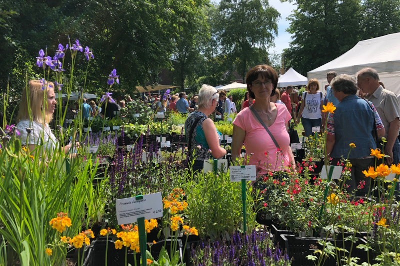 Marktstand mit Blumen