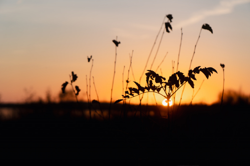 Ewiges Meer bei Sonneuntergang
