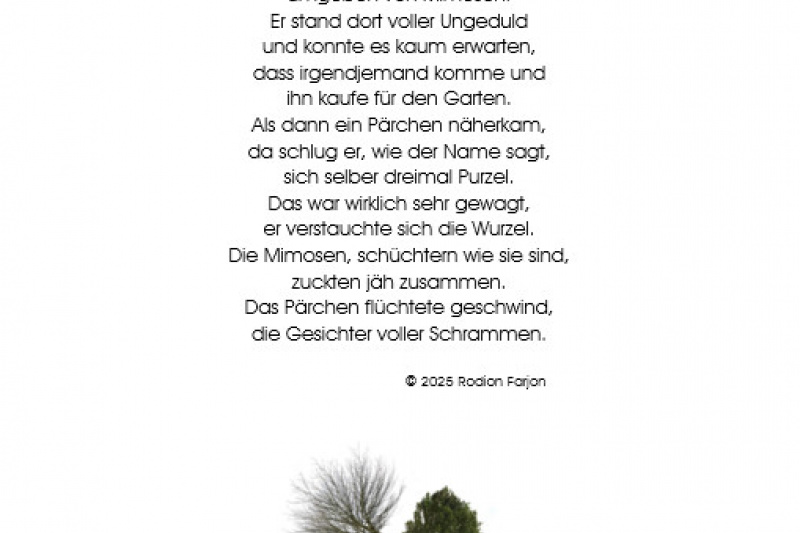 der Purzelbaum