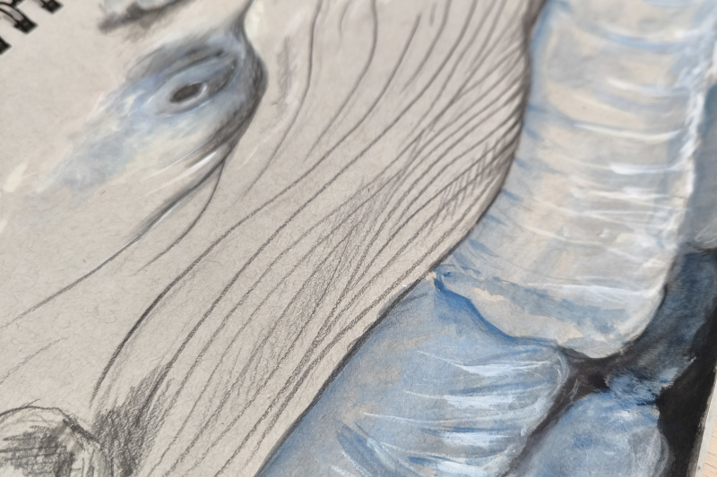 Studie zum Thema Plastikmüllverschmutzung im Meer