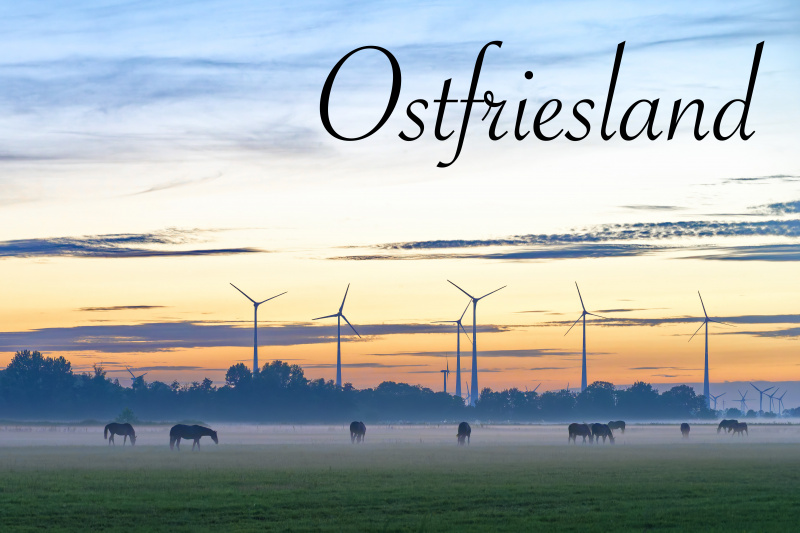 Hinte: Pferde im Abendnebel