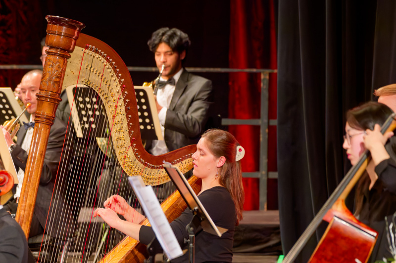 Festspielhaus am Wall: Residenzorchester Baden-Württemberg (31.12.2025)