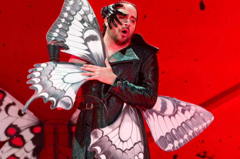 Der Herzog und seine Schmetterlinge