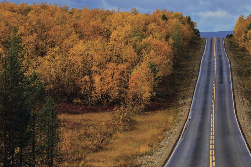 Titelbild: Ruska-Aika (goldener Herbst) im Norden Finnisch-Lapplands