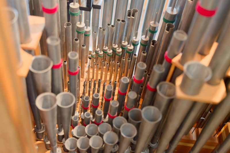 Viele kleine Pfeifen hinter dem Orgelprospekt