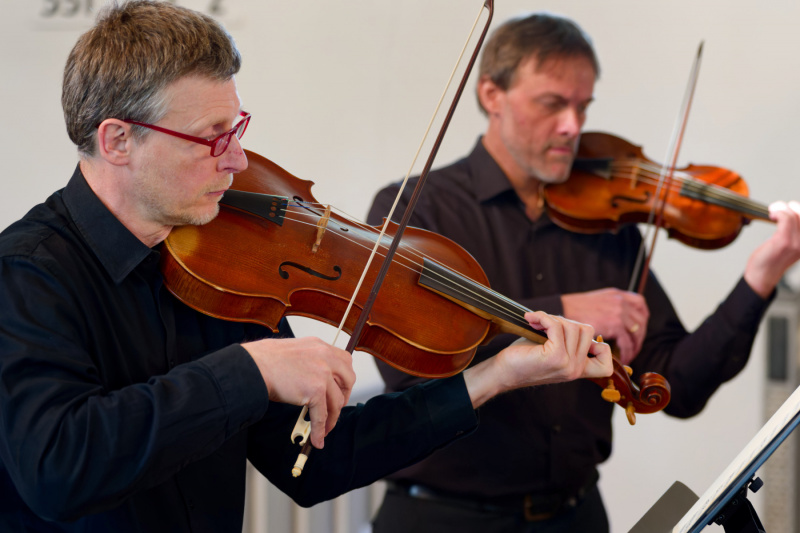 Bodo Lönartz: Viola