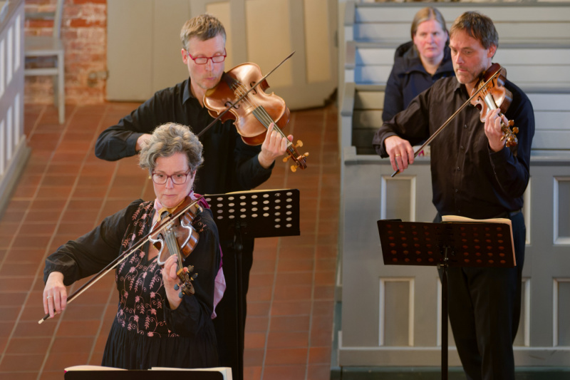 Die Violinen und die Viola