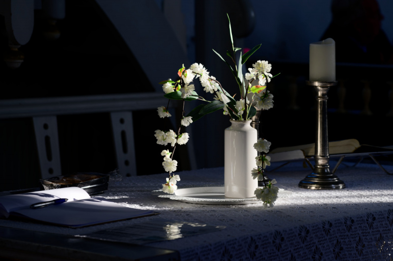 Blumen im Sonnenlicht