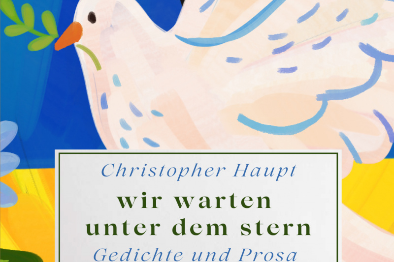 Buchcover 1