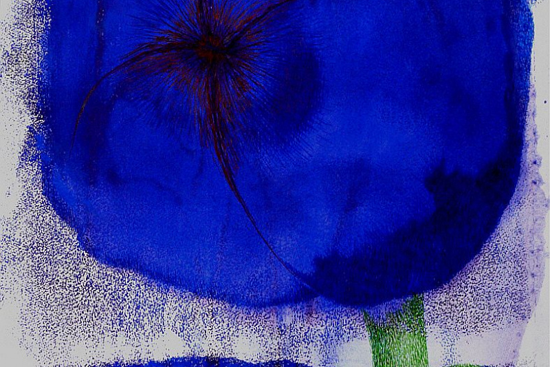 Durch die Blume
