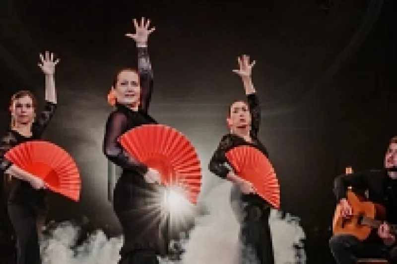 Bild: Flamencostudio Flavie Cardona