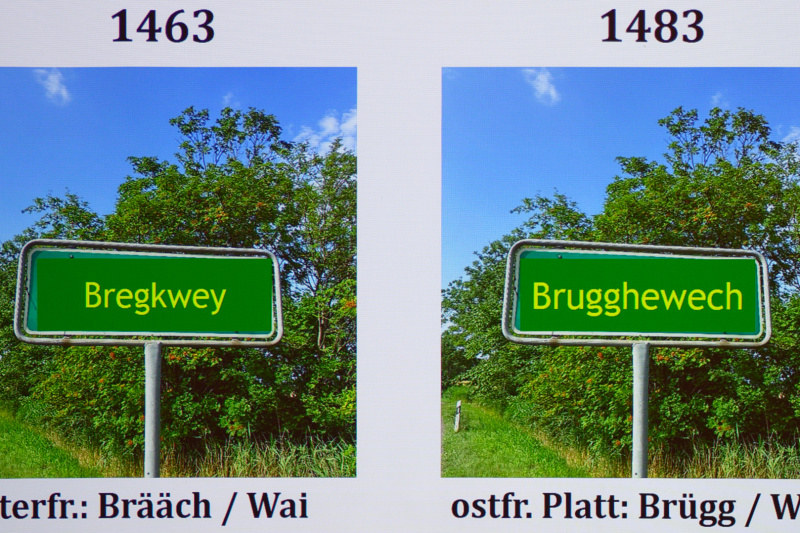 Vor Jahrhunderten: Sprachwandel in nur 20 Jahren