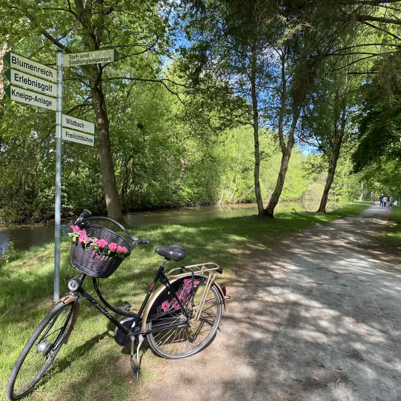 Fahrrad mit Blumenkorb lehnt an einem Verkehrsschild, grüne Baumallee führt entlang eines Radwegs.