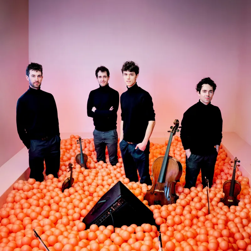 Vision String Quartet