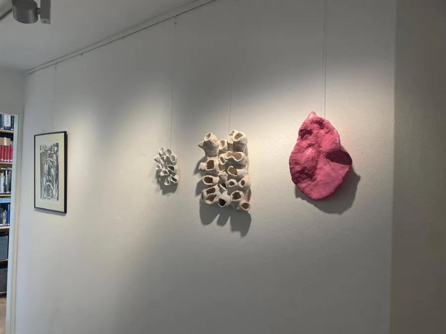 Keramiken an einer weißen Wand