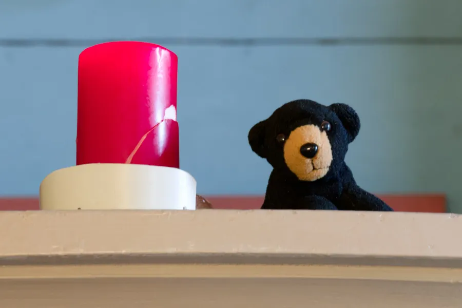 Maskottchen Carl ist immer dabei, wenn Alina Rotaru spielt
