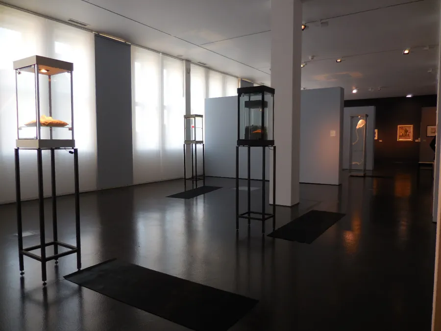 Blick in den Ausstellungsraum im 3. Stock des Landesmuseums, wo Exponate aus der Serie der „Hitler Vitrines“ zu sehen sind